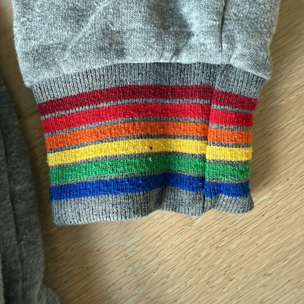 Aviator Nation Rainbow Rib Zip Hoodie in Heather Grey sz LG - Picture 4 of 6